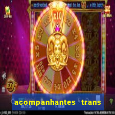 acompanhantes trans baixada fluminense